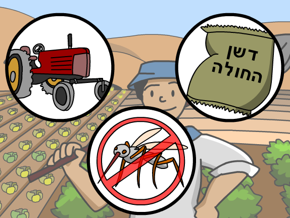 Pop Jr 2 בריינפופ ישראל